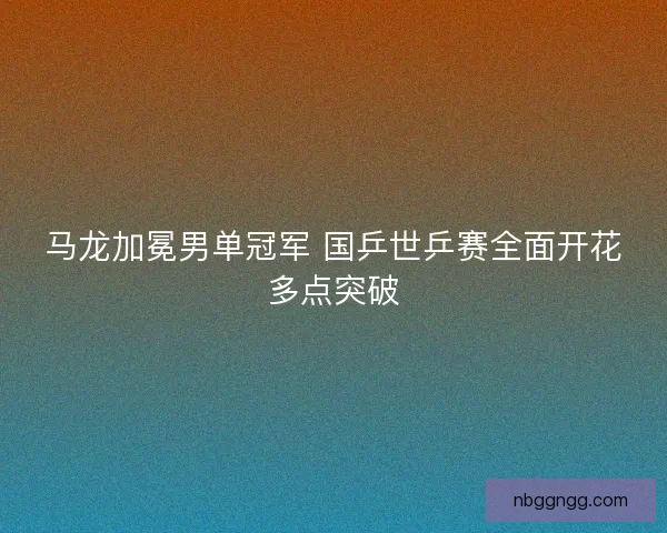 马龙加冕男单冠军 国乒世乒赛全面开花多点突破