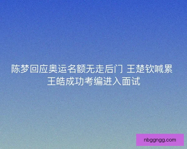 陈梦回应奥运名额无走后门 王楚钦喊累 王皓成功考编进入面试
