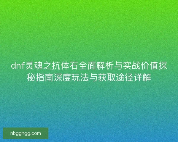 dnf灵魂之抗体石全面解析与实战价值探秘指南深度玩法与获取途径详解